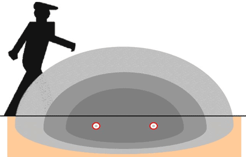 INTREPID MicroTrack - Обнаружение нарушителя INTREPID MicroTrack - Обнаружение нарушителя